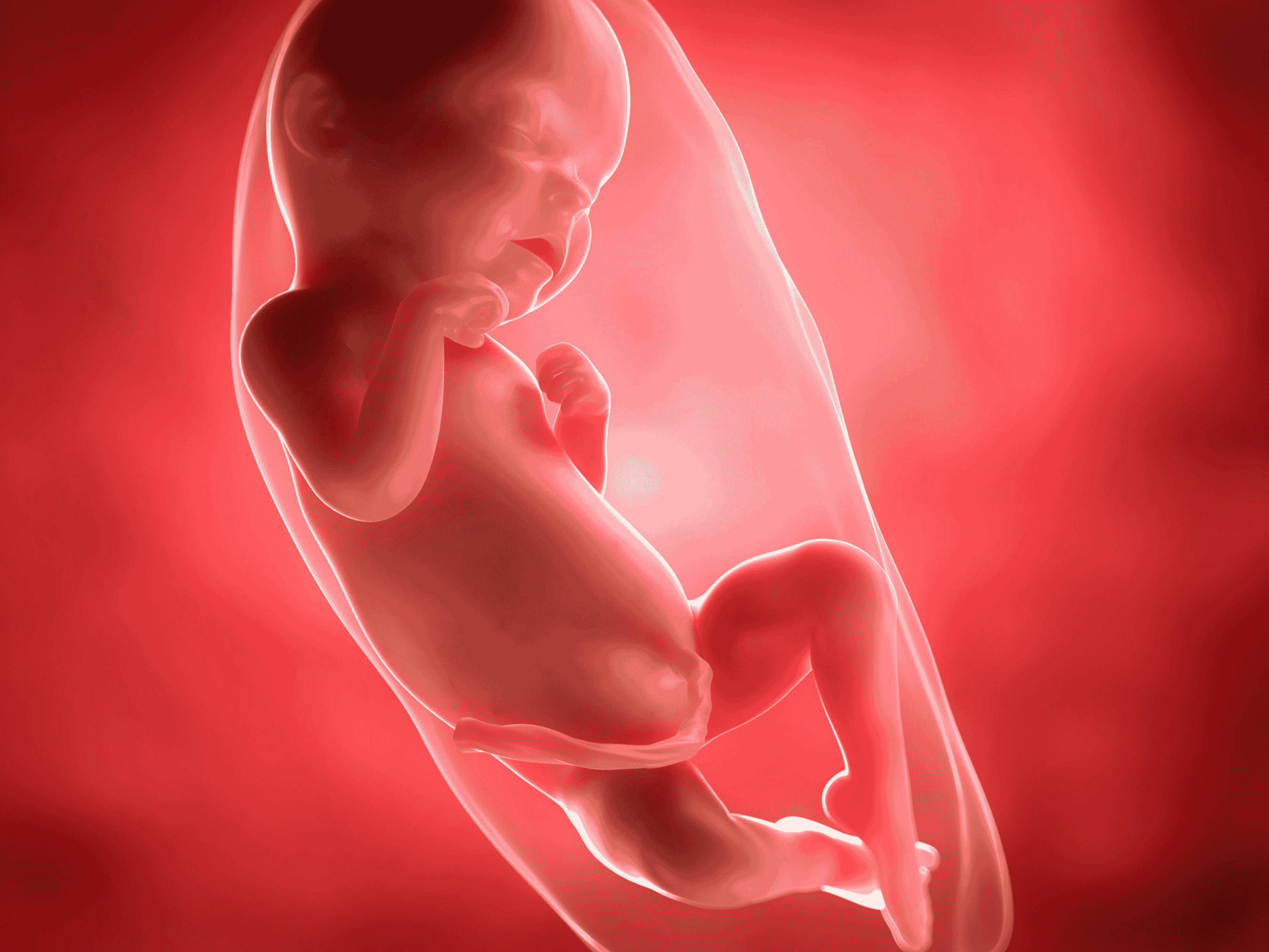 Your Pregnancy at Week 31