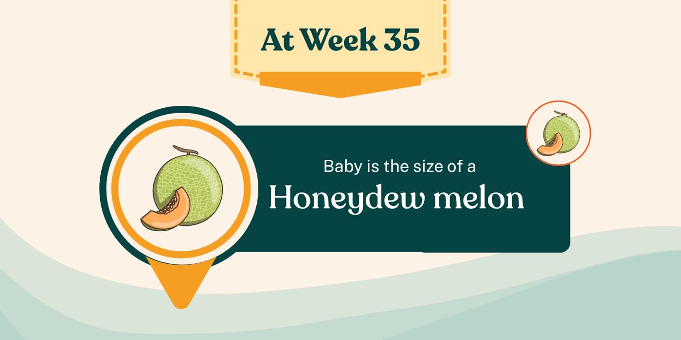 Your Pregnancy at Week 35