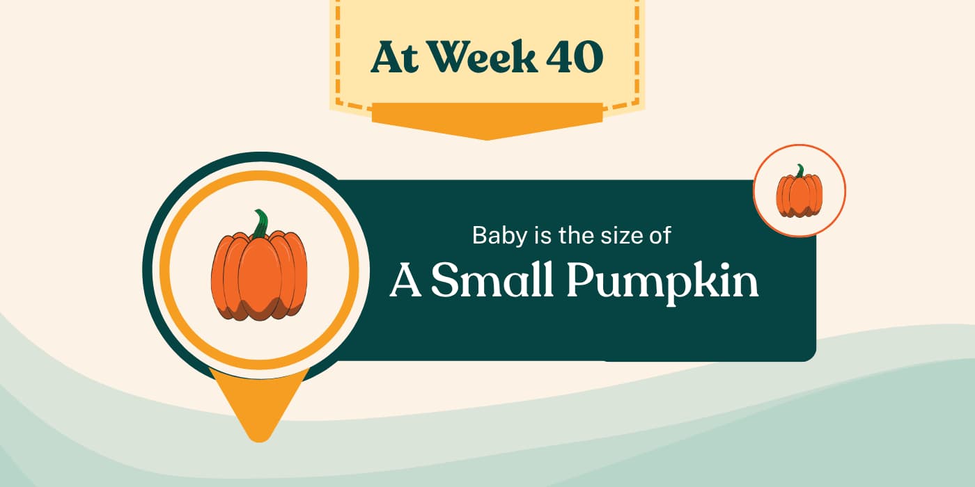 Your Pregnancy at Week 40