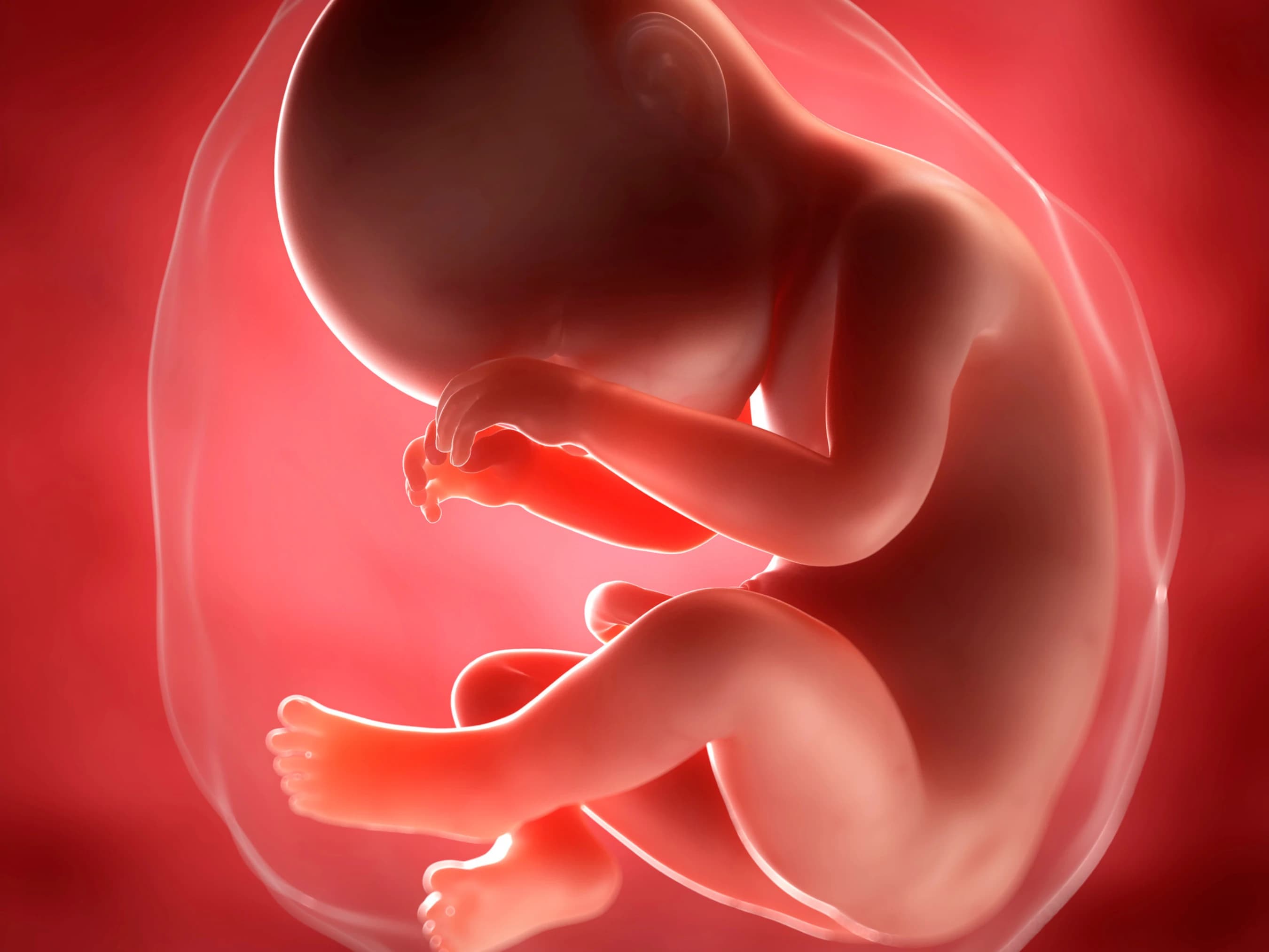 Your Pregnancy at Week 39