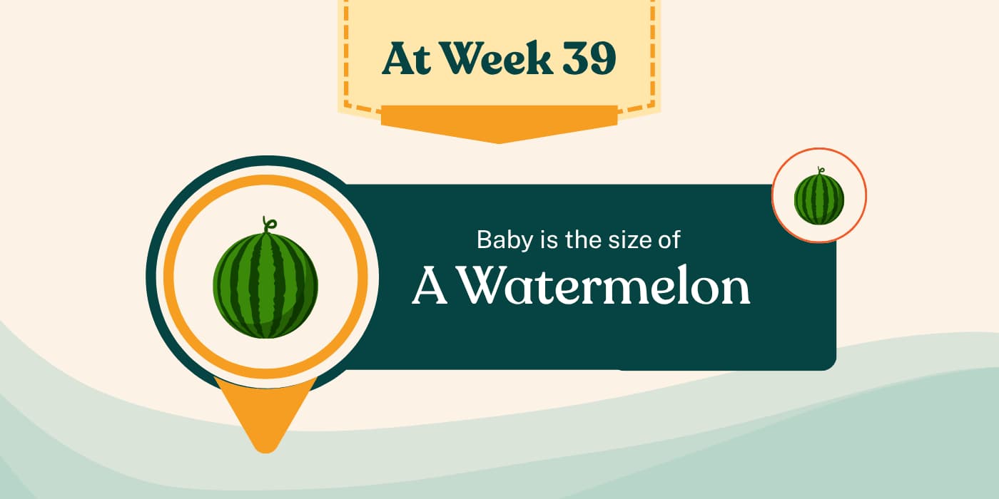 Your Pregnancy at Week 39