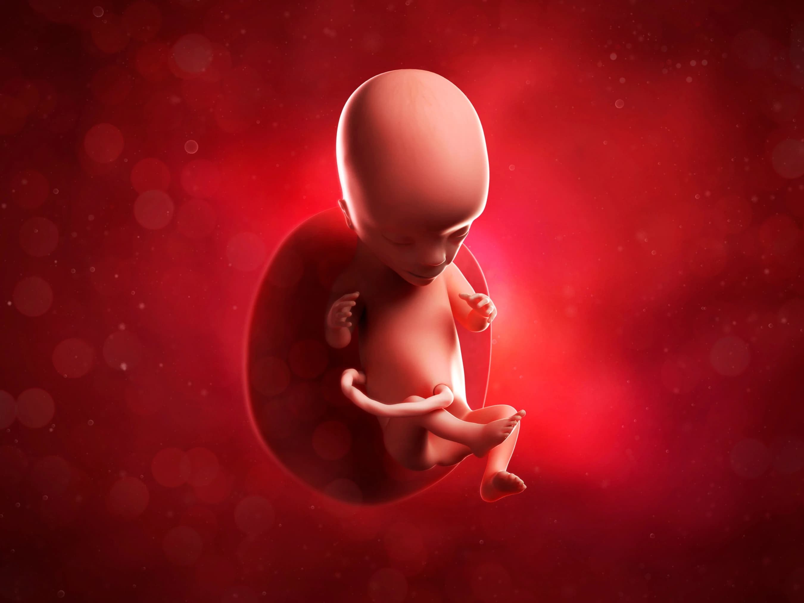 Your Pregnancy at Week 15