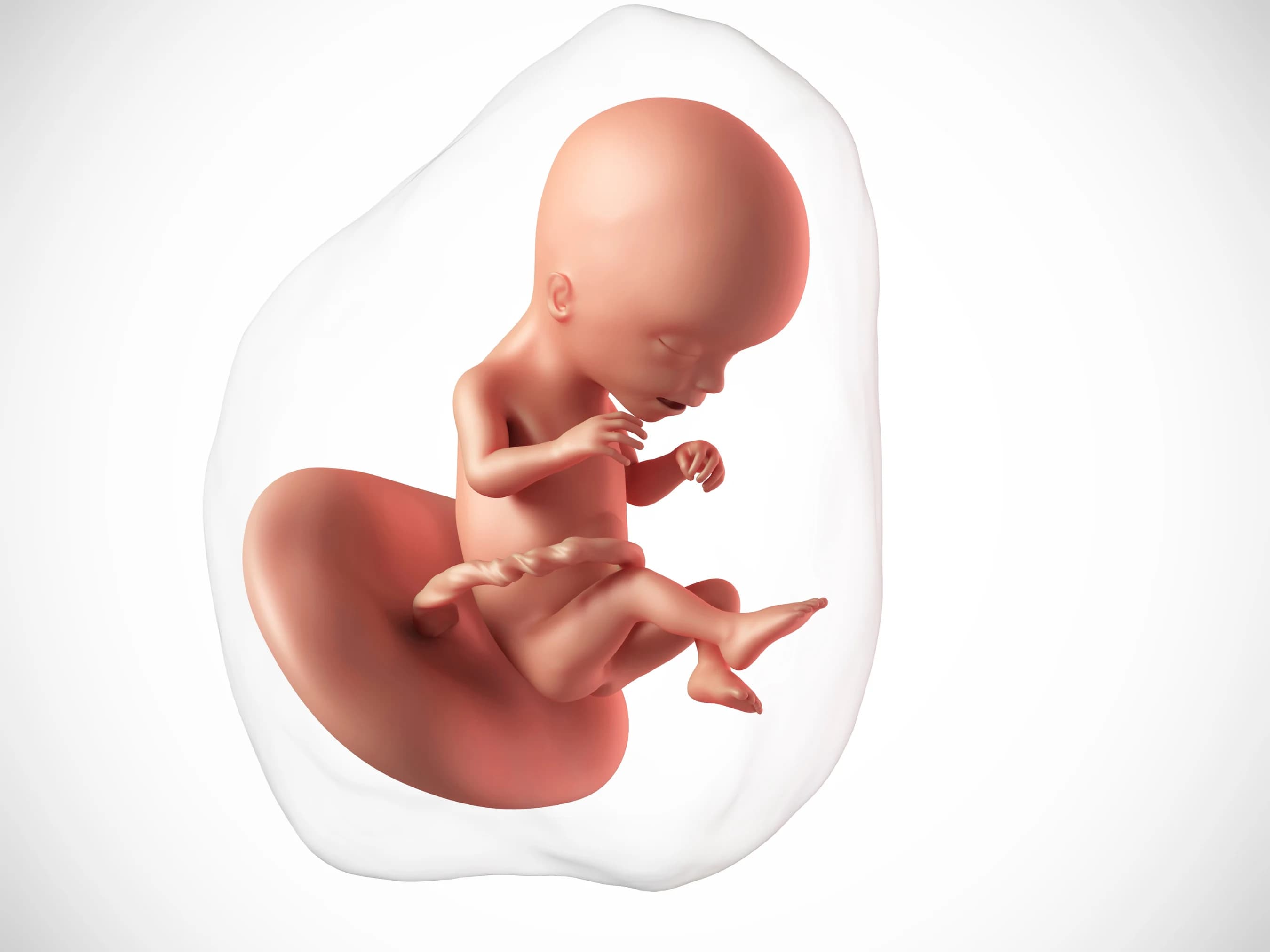 Your Pregnancy at Week 17