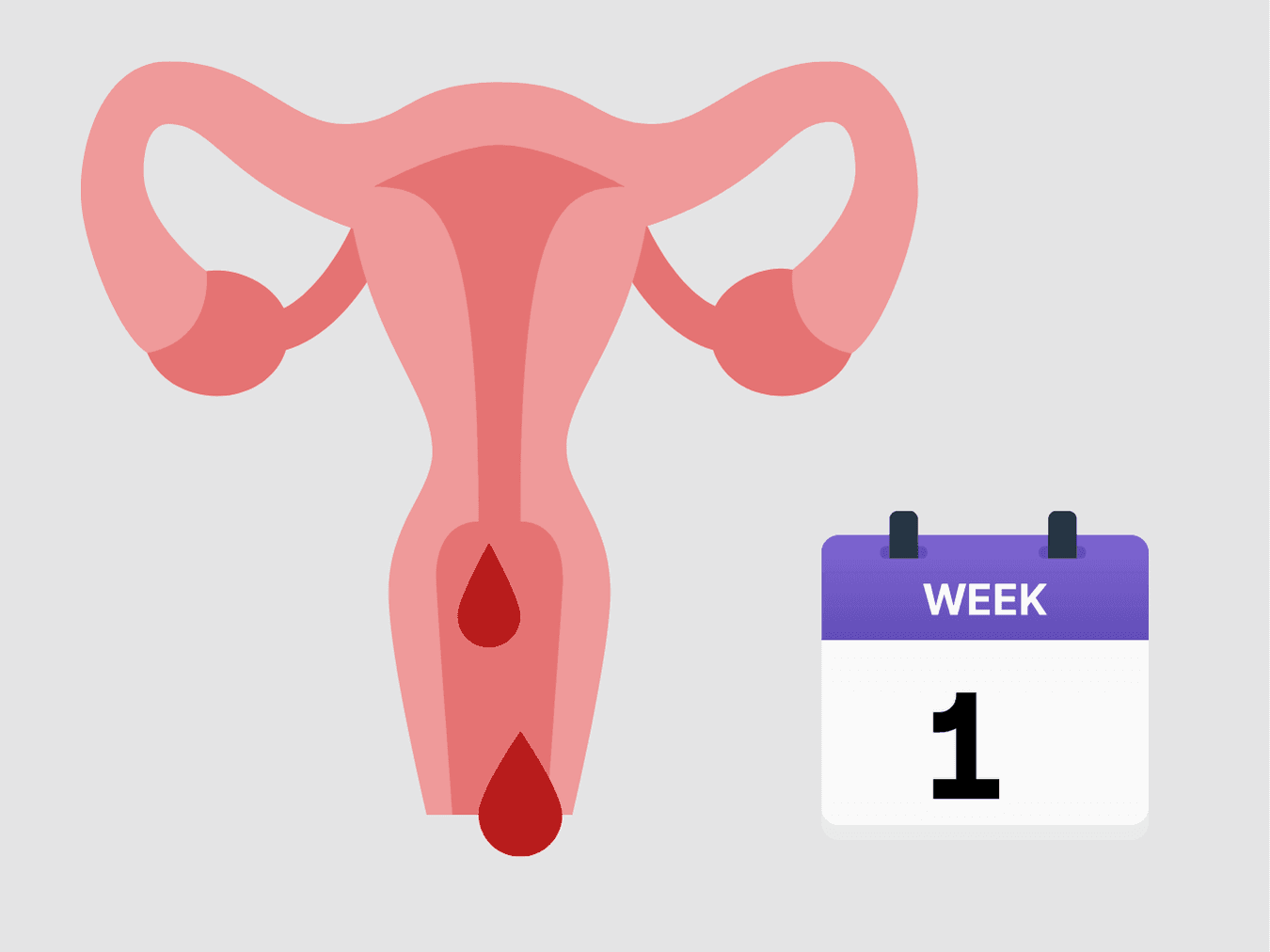 Your Pregnancy At Week 1